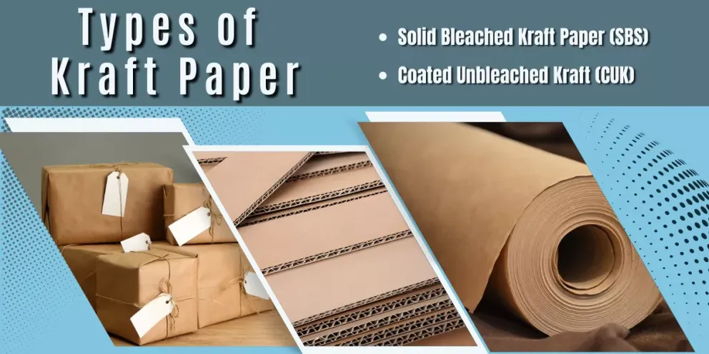 Types of kraft paper hotsell