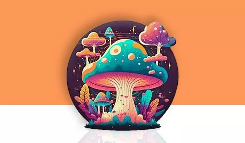 mushroom mylar bags