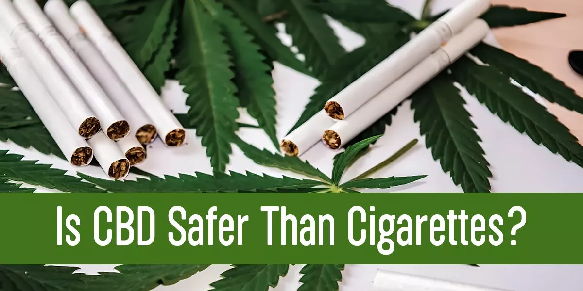 Is-CBD-Safer-Than-Cigarettes